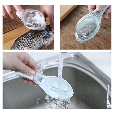 Picture of  Fish Cleaning Peeler Scaler Scraper 
kitchen cooking tool