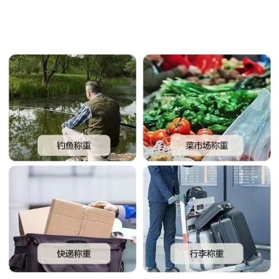 Picture of Digital Hanging Weight Scale - Weiheng Electronic Portable LCD Scale with Double Precision Hook for Luggage and Travel