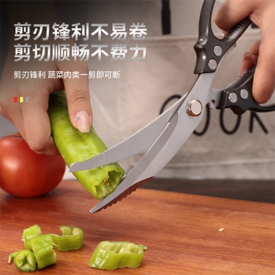 Picture of Multi-Function Stainless Steel Kitchen Scissors