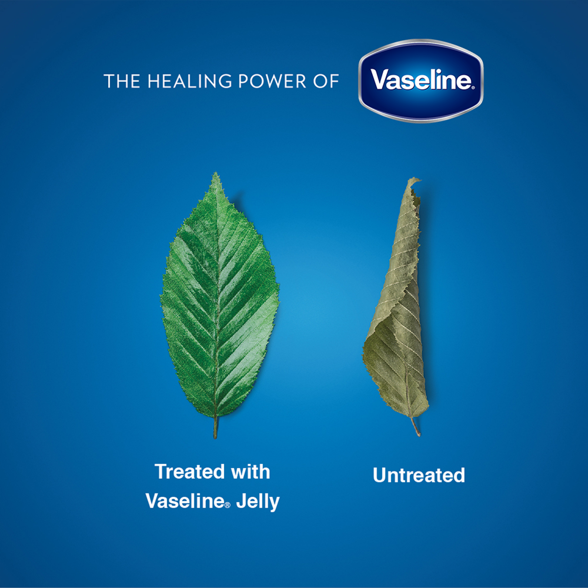 Picture of Vaseline Petroleum Jelly 50ml