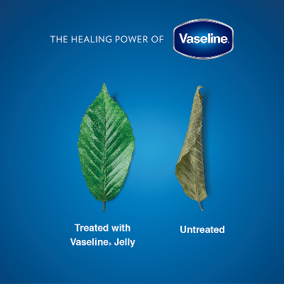 Picture of Vaseline Petroleum Jelly 50ml