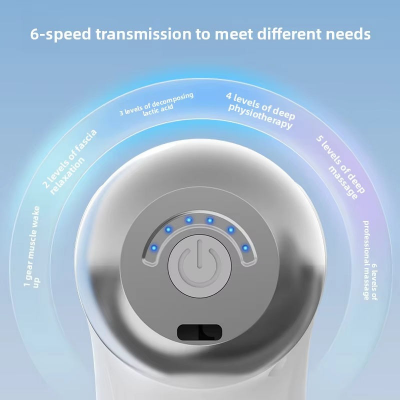 Picture of Pro Light Wireless Handheld Massage Gun - 6 Speed High-Intensity Percussion Muscle Massager with 4 Interchangeable Heads - Portable Myofascial Therapy Device