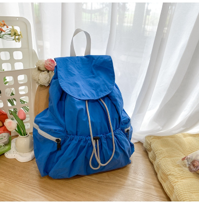 Picture of Ultra-Light Water-Resistant Everyday Backpack – Blue