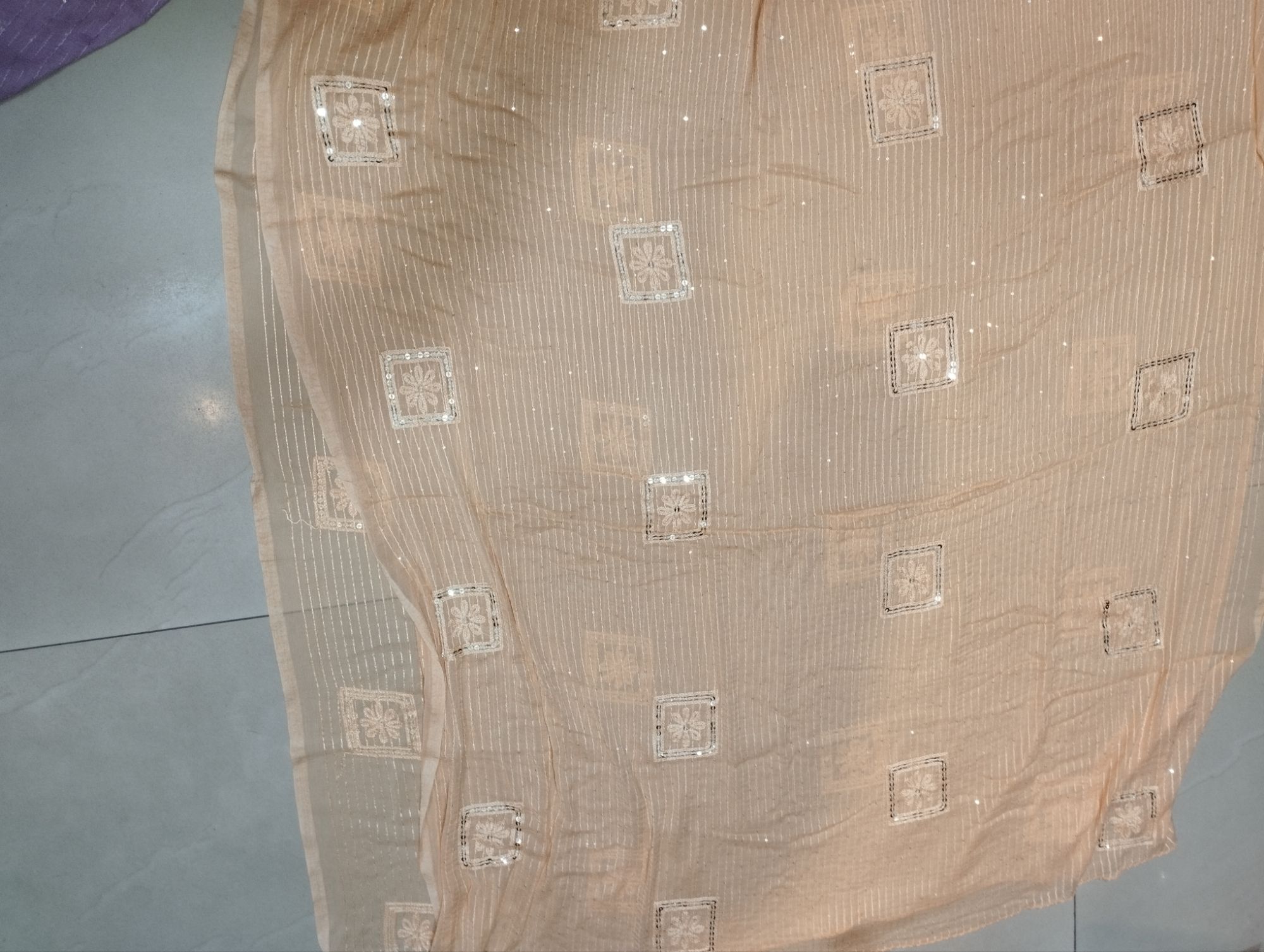 Picture of new design Indian Georgette sequence orna for women dupatta