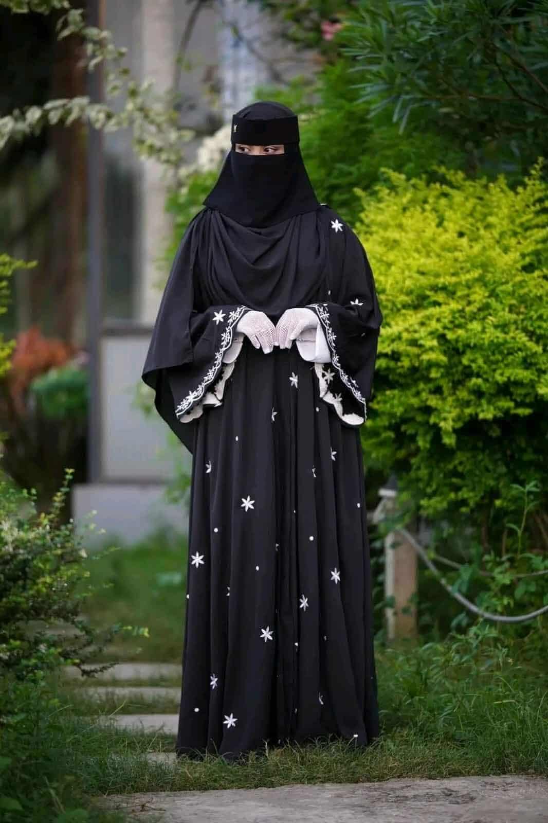 Picture of Abaya borka (Star Borka) With (Koti+Inner+Belt+Hijab) Dubai Charry Georget Stylish Embroidery Work Party Borka For Women