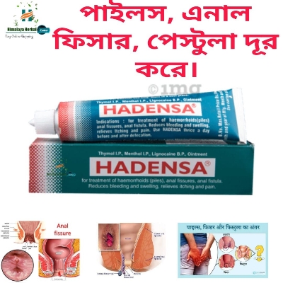 Picture of Indian Hadensa Ointment For Piles  Man & Women - 20gm