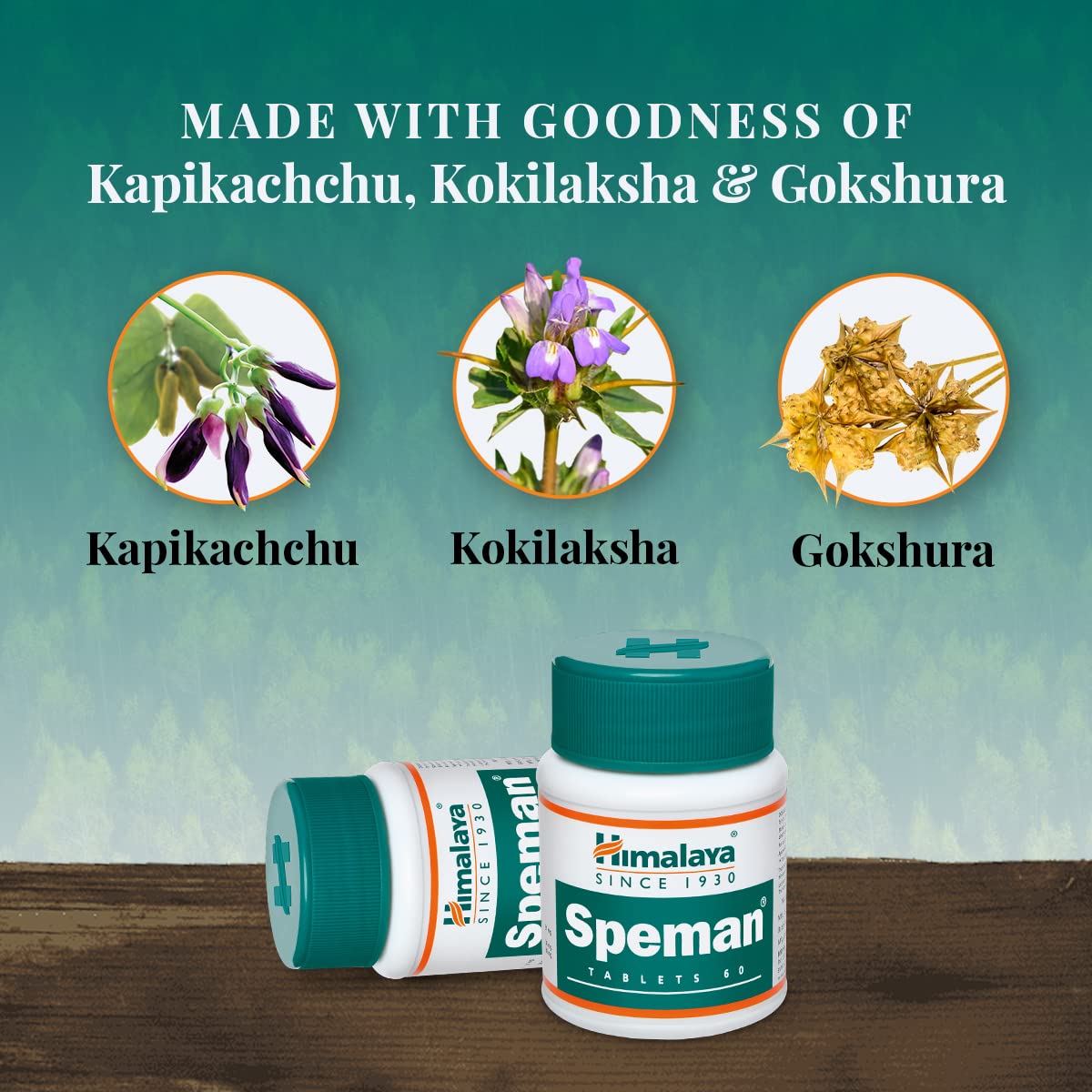 Picture of Himalaya Speman - Bottle of 60 Tablets