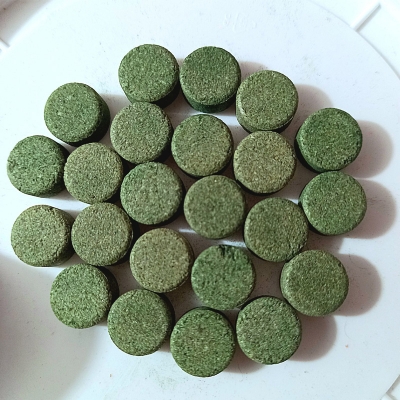 Picture of YEE Spirulina Tablet 50pcs Repack | Aquarium Fish | Small Fish Food | Bangla Fishers