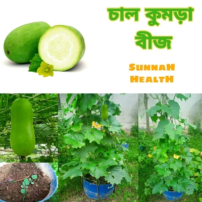 Picture of চাল কুমড়া বীজ Chal Kumra Seed - 1 Mini Pack