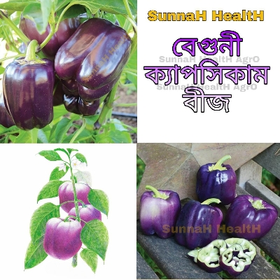 Picture of Capsicum Seeds Violet/Orange - 15pcs