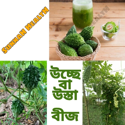 Picture of বারমাসি উস্তা বীজ - দেশি ছোট জাত - ১০ পিচ