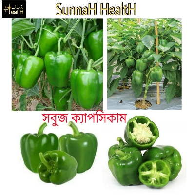 Picture of Capsicum Seeds/Multicolor/Orange/Green/Violet/Yellow - 15pcs