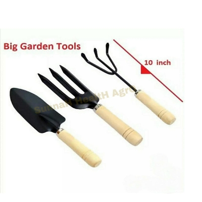 Picture of Lau Seed 7 Pcs Bottle Ground F1 Hybrid