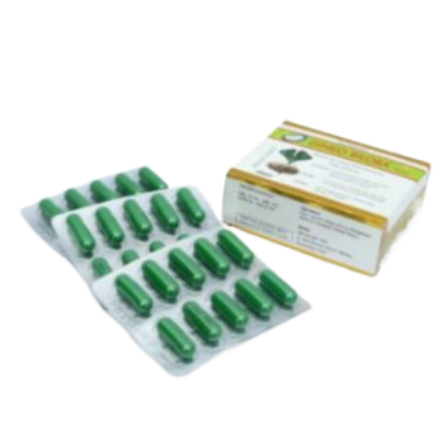 Picture of Ginko Biloba 40mg Modern Herbal