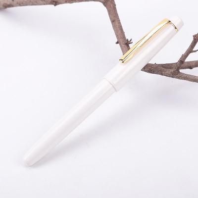 Picture of White Fine Nib Fountain pen