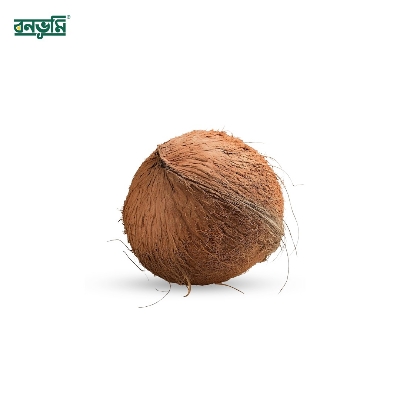 Picture of King Size coconut 1pcs