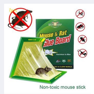 Picture of China Rat Glue Trap Mouse & Rat Glue Trap -1 Piece