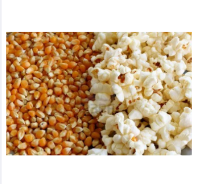 Picture of Pop Corn Bhutta-500gm