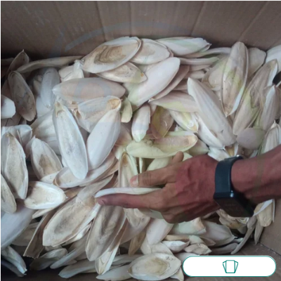 Picture of Samudra Fen Cuttle Fish Sepia, For Dietary Supplement For Birds 250gm