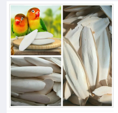 Picture of Samudra Fen Cuttle Fish Sepia, For Dietary Supplement For Birds 250gm