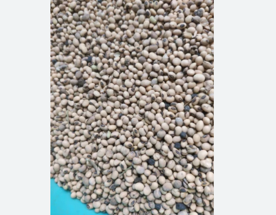 Picture of Soybean Seeds 1 Kg