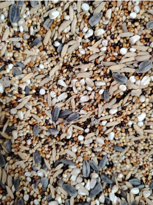 Picture of Bird Food Seed Mix for Cockatiel & Love Birds -- 1kg