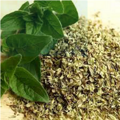 Picture of Oregano Powder - 100G