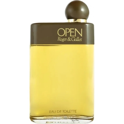 Picture of Open EDT Perfume for Men 100 Ml
