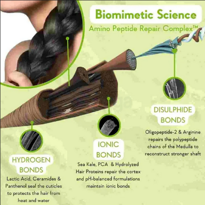 Picture of WishCare Triple Bond Repair Shampoo 250 ml