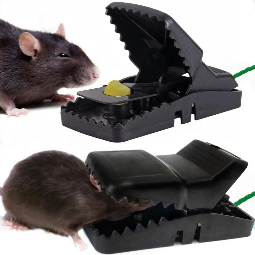 Picture of Mouse Killer Trap (5×3×3 inches)