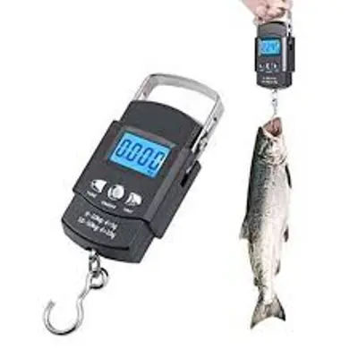 Picture of Portable Digital Weight Scale 50kg