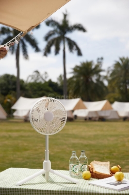 Picture of JISULIFE FA37 Retractable Ceiling Fan USB Ceiling Fan(1year replacement warranty) - White