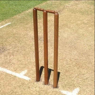 Picture of Premium Wooden Color Cricket Stumps – Full Set