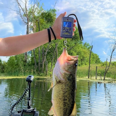 Picture of 10g-40kg Multifunctional Digital Scale Portable Electronic Scale For Fishing Luggage Weighting Hanging Weight Hook Scale Tool