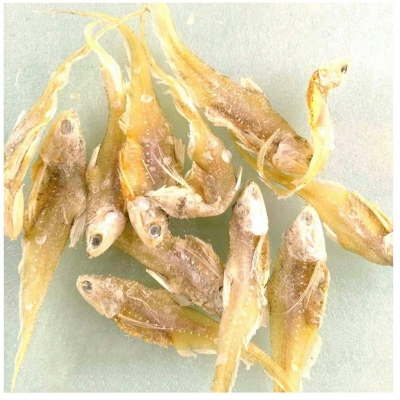 Picture of শুঁটকি- Shutki- Olua Dry Fish-500 gm