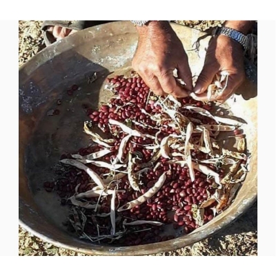 Picture of Red kidney Bean Lal rajma-1 kg