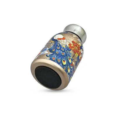 Picture of 300ml High Quality SS Thermos Water Bottle ( peacock )