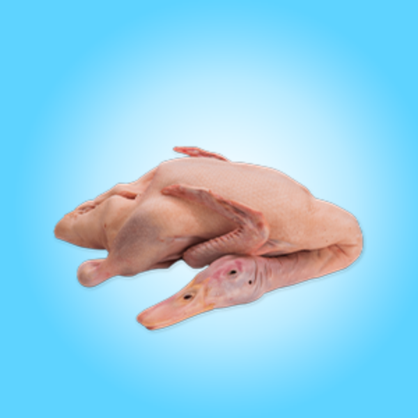 Picture for category Duck