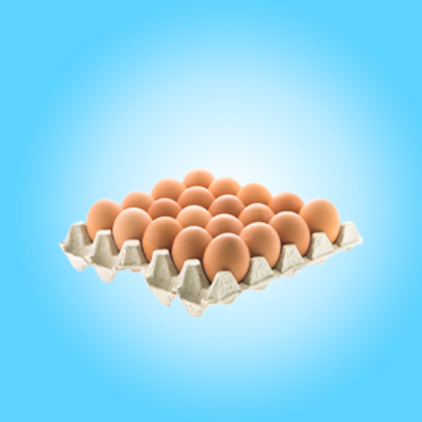Picture for category Eggs