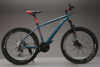 Picture of Phoenix Donald 24 inch 24 Speed Blue Bicycle