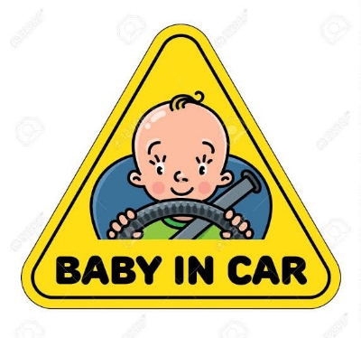 Picture of Premium Quality Baby In Car Sticker
