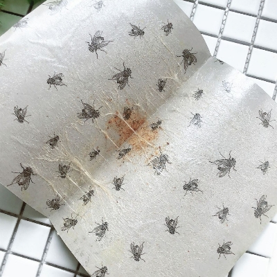 Picture of Fly Trap for Home Fly 3 Pcs( Gold )