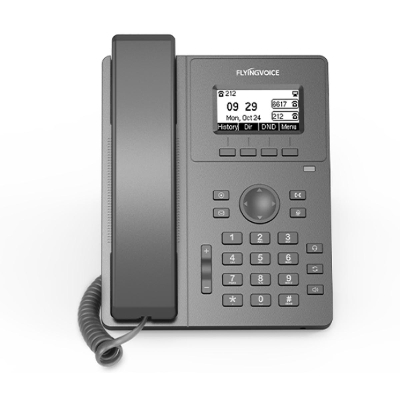 Picture of FLYINGVOICE P10 Entry-level Business IP Phone( Black )