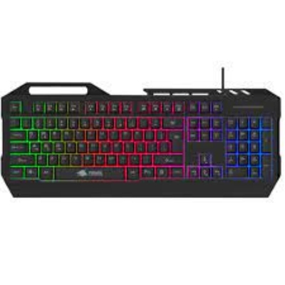 Picture of Friwol FW730 USB Gaming Keyboard( Multicolor )