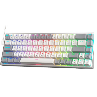 Picture of Redragon K631 WG Castor RGB Mechanical Gaming Keyboard( Grey )