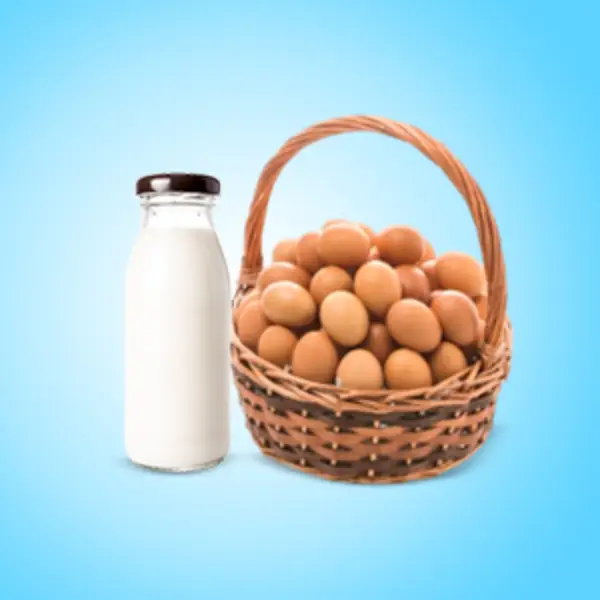 Picture for category Dairy, Chilled & Eggs