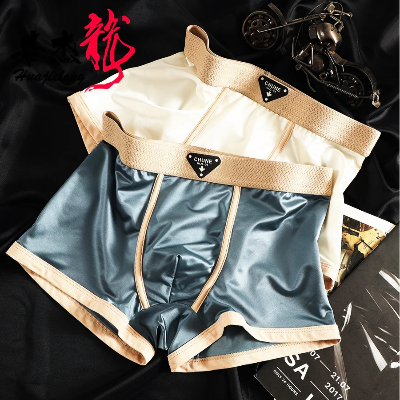 Picture of Zero-Friction Solid Ice Silk Underwear Boxer For Men- Blue - 1Pc
