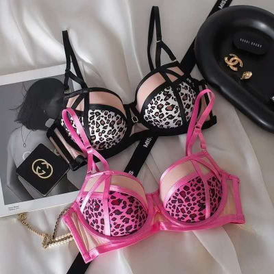 Picture of High Quality Women's Underwear Leopard Print Anti Sag Bra Se-xy Lingerie Set Push up Bra and Panty Set for Women (Pink )