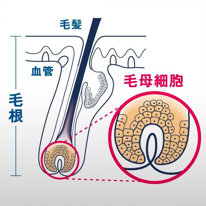 Picture of Yanagiya Hair Growth Tonic, 240ml - Fragrance-Free