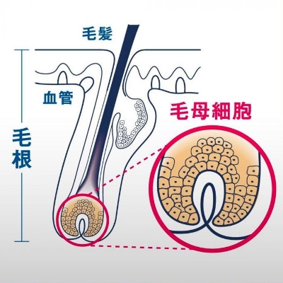 Picture of Yanagiya Hair Growth Tonic, 240ml - Fragrance-Free